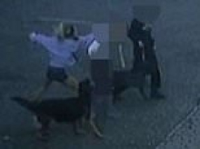 Moment woman punches fellow dog walker in the face before laughing and spitting at her