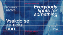 V Celju razstava Dominike Drotos Vsakdo se za nekaj bori