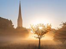 Britain could be hit by SIXTH heatwave of the year next week, Met Office says as forecaster predicts temperatures could hit 29C in the South