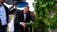 ZOKI DOŠEL V JASKU POD BRAJDE Pogledajte kako predsjednik bere grožđe