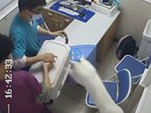You can't catch me! Moment mischievous cat causes chaos at vets