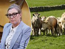 Could the SNP's eco zealots be coming for Scotland's cows?