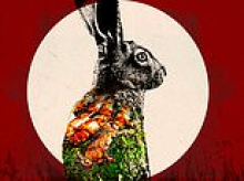 Terrifying scourge of the hare coursing gangs: DAVID JONES speaks to farmers menaced by the thugs - many of them Travellers - who litter roads with corpses to intimidate anyone who dares try to stop them