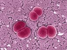 Aussies issued urgent health warning as child rushed to hospital with potentially deadly meningococcal disease