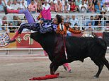 Time to call it quits? Hapless career of 'world's worst bullfighter' who has been gored in the backside, crushed against a wall, trampled, lanced in the leg and tossed around like a rag doll