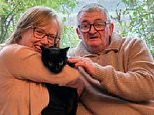 Pandora the cat comes home - six years after she vanished