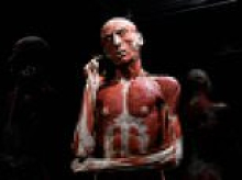 Dead bodies are put on display 'having sex' at Sydney exhibition that has sparked a fiery ethics debate
