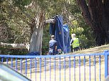 New jumping castle rules could be introduced across Australia after freak 'mini tornado' hurled inflatable 16 metres into the air, killing six children