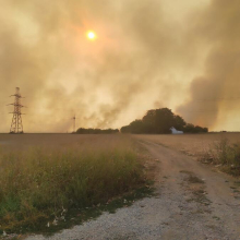 DIM SE OSEĆA U SREMSKOJ MITROVICI: Požari na više lokacija, grad najavljuje dronove i veštačku inteligenciju
