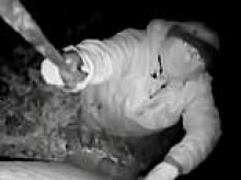 Gang who stole 33 Land Rovers worth £600,000 during eight-month crime spree are jailed