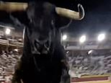 Moment enraged bull leaps over safety barrier and straight into spectator filming as crowd screamed at Spanish arena