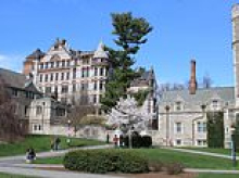 Princeton is no longer America's top university, as prestigious STEM-focused college knocks it off top spot in respected ranking