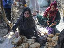'Severe escalation' of forced child marriage and sexual violence in Gaza is revealed in UN report as father 'sells daughter, 14, for two bags of flour'