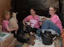 Animal rights activists who stole King's lambs from Sandringham found guilty of theft