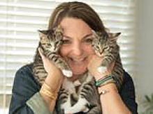 NYC kitten rescue says MAGA voters are BANNED from adopting from them