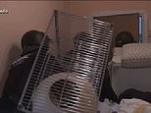 Moment Spanish riot cops smash their way through barricaded door of 87-year-old woman's flat to evict her after investment brothers hiked her rent 275% in case that sparked riots