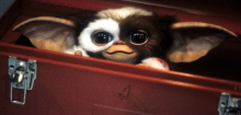 Gremlins 3: Kein Sonnenlicht, kein Wasser, niemals nach Mitternacht füttern, nicht vor 2028 im Kino gucken