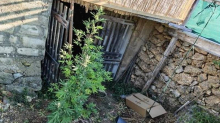 Na Hvaru skrivali kokain i marihuanu u suhozidu: Policija je pronašla i bombu i barut