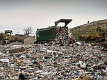 So should you rinse out cans and bottles before putting them in the recycling? Waste management boss finally reveals the answer