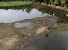 Thousands of homes are left without water and schools forced to close amid burst Thames Water pipe across Surrey and London
