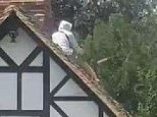 Moment builder who 'stole couple's dog' hurls roof tiles from their £1.8million Tudor cottage in a row over pay