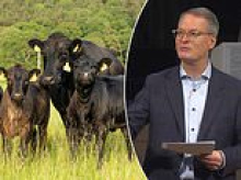 Woke pastor running for Kansas congressional seat once used sermon to implore locals to eat less BEEF