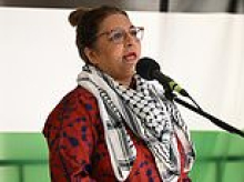 Will Mehreen Faruqi become the next far-left leader of the Greens? What insiders say about her chances after Larissa Waters stepped down