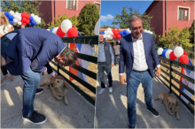 ŽUĆA ČUVA SVOJU KUĆU, A MI MORAMO SRBIJU! Simpatična i emotivna scena Vučića i psa dobila simboličnu poruku: Na nama je da čuvamo svoju zajedničku otadžbinu