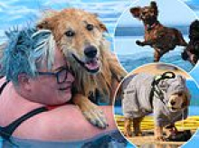 Who's a good buoy! Playful pooches make a splash in luxury heated lido