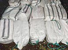 Major probe after $10m cocaine haul vanishes from Fiji court and is reportedly replaced with flour