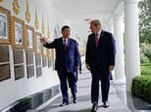 Trump may have found his own answer to panda diplomacy in Sino-US relations... discover the unlikely 'secret weapon' charming Xi Jinping and causing a stir on Chinese social media in the free DC Insider newsletter