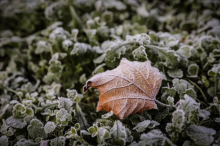 SRBIJA JUTROS OSVANULA S TEMPERATUROM ISPOD NULE! U ovom mestu izmerena čak MINUS 2!