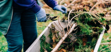Wie mache ich meinen Garten winterfest?