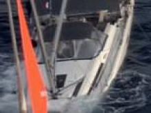 Sailors fight for survival after sperm whale sinks their yacht in the South Pacific