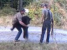 Urgent hunt for two men caught on camera killing and poaching gorgeous black bear on private property