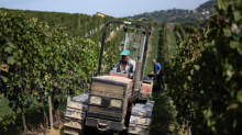 I vini del futuro premiati a Milano: un sigillo di qualità