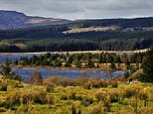 Wanted: £60k a year PR guru to run SNP's forests quango... that faces axe to save cash