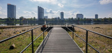Niedrigwasser in Deutschland: Umweltminister Schneider fordert anderen Umgang mit Wasser