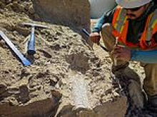 Is it a 'thunder beast' or a 'swamp rhino'? Workers make incredible discovery as they find remains of mysterious prehistoric creature at California construction site