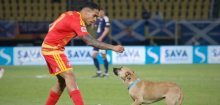 Nations League: Hund sorgt für Unterbrechung beim Spiel Nordmazedonien gegen Schottland