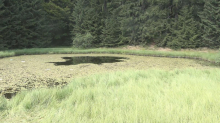 Mistični biser srpske planine: Došli su na ovo jezero na Goliji, a onda su svi nestali bez traga
