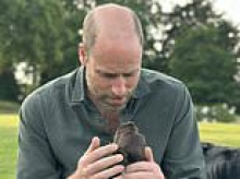 Animal rights group that attacked Prince and Princess of Wales for their dog having puppies is reported to charities regulator