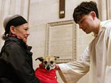 Holy meow! Owners from all over the world get their beloved pets blessed at local churches