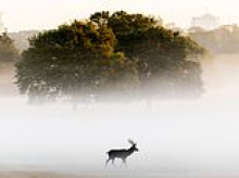 Cool! That long, hot summer gives way to autumn at last as Met Office warns it's 'turning colder for all'