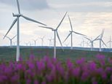 Why thousands of Scottish wind turbines are turned off - and costing Britain billions of pounds every year in the process