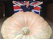Gourd-geous! British grandfather smashes world's biggest pumpkin record... again