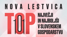 TOP 101: pregled najboljših in največjih slovenskih skupin in podjetij