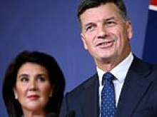 There's a big issue with Coalition's Johnny-come-lately plan to slash immigration: they helped create this problem, says PETER VAN ONSELEN