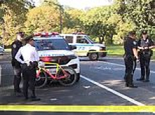 New York City cyclist is killed after colliding with a dog in Central Park