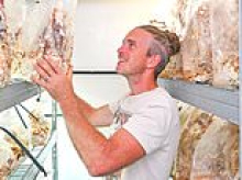 Former London banker who moved to countryside to run mushroom wellness centre is at war with neighbours in planning row over business